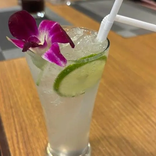 En Vodka Fizz gjord med North Spirit