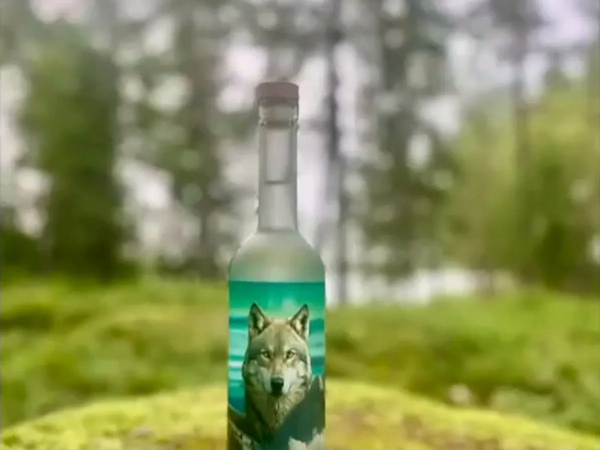 En flaska stående på mossa i svensk skog